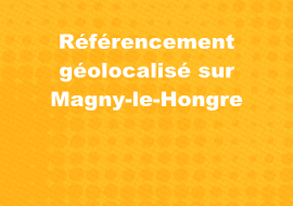 rencontre magny le hongre